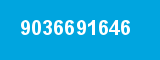 9036691646