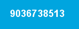 9036738513