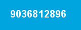 9036812896