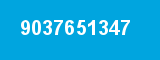 9037651347