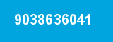 9038636041