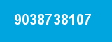 9038738107