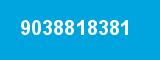 9038818381