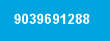 9039691288