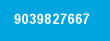 9039827667