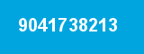 9041738213