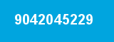 9042045229