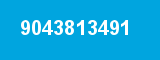 9043813491