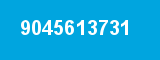 9045613731 9045613731