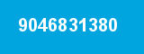 9046831380