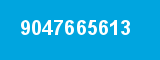 9047665613
