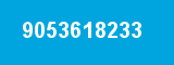 9053618233 9053618233