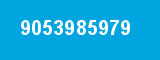 9053985979
