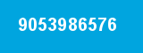 9053986576