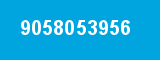 9058053956