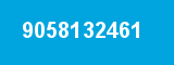 9058132461