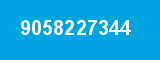 9058227344