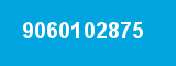 9060102875