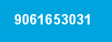 9061653031