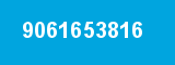 9061653816
