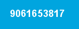 9061653817