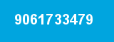 9061733479