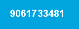 9061733481