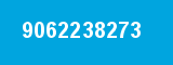 9062238273