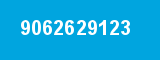9062629123