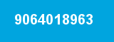 9064018963