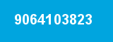 9064103823