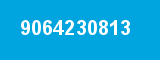 9064230813