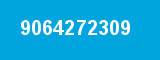 9064272309