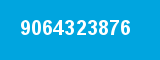 9064323876
