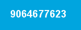9064677623 9064677623