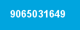 9065031649 9065031649