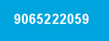 9065222059