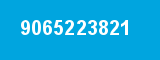 9065223821 9065223821