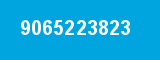 9065223823