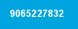 9065227832