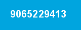 9065229413