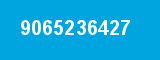 9065236427