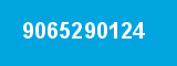9065290124 9065290124