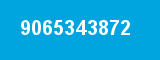 9065343872 9065343872