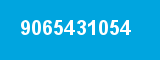 9065431054