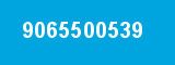 9065500539 9065500539