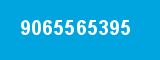 9065565395