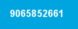 9065852661