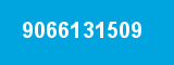 9066131509 9066131509