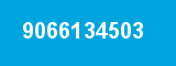 9066134503